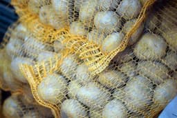 Kako sačuvati povrće tokom zime