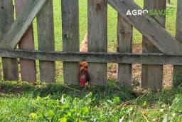 Značaj (malih) porodičnih poljoprivrednih gazdinstava