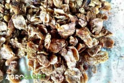 Debele svinje pretvaraju se u male rudnike zlata: Mast i čvarci dostižu rekordno visoke cijene