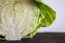 Pet razloga zašto treba piti rasol