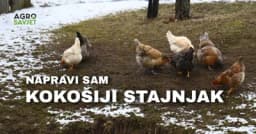 IMATE LI KOKOŠKE? NAPRAVITE KOKOŠIJI STAJNJAK