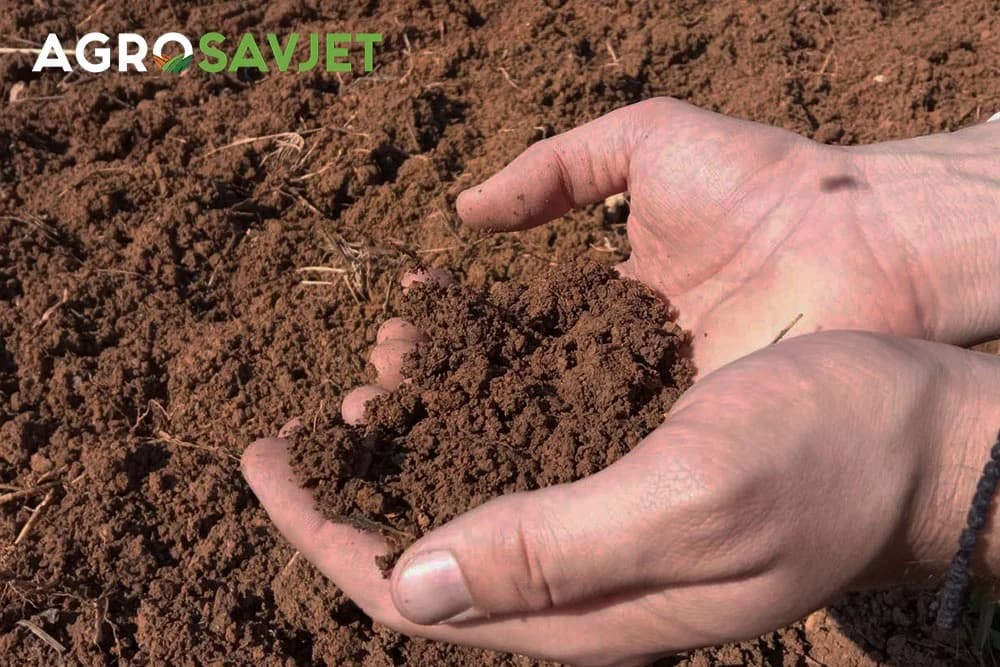 sjetva i narodno vjerovanja