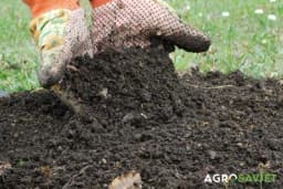 Kako pravilno uzeti uzorak tla?