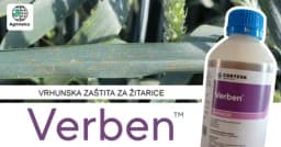 Fungicid Verben za zaštitu žita od bolesti - Preporuka stručnjaka kompanije Agrimatco