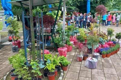 Treći Sajam cvijeća u Bijeljini: Semberija ima veliki potencijal za proizvodnju