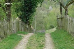 U ovom selu vladaju žene: Muškarci samo klimaju glavom