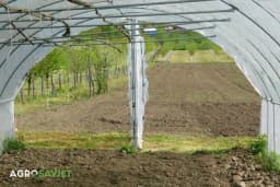 Savjeti za pravilan izbor folija za plastenike: Kvalitet i tipovi materijala