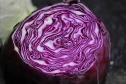 Crveni kupus - Otporan na bolesti i veoma zdrav