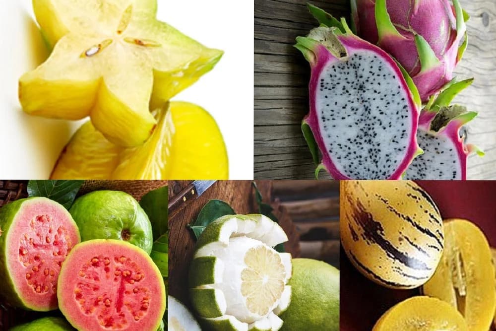 neobične voćne vrste