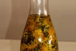 Ulje od maslačka - Pomoć kod raznih bolova