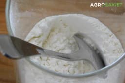 Koliko kvasca ide na kilogram brašna