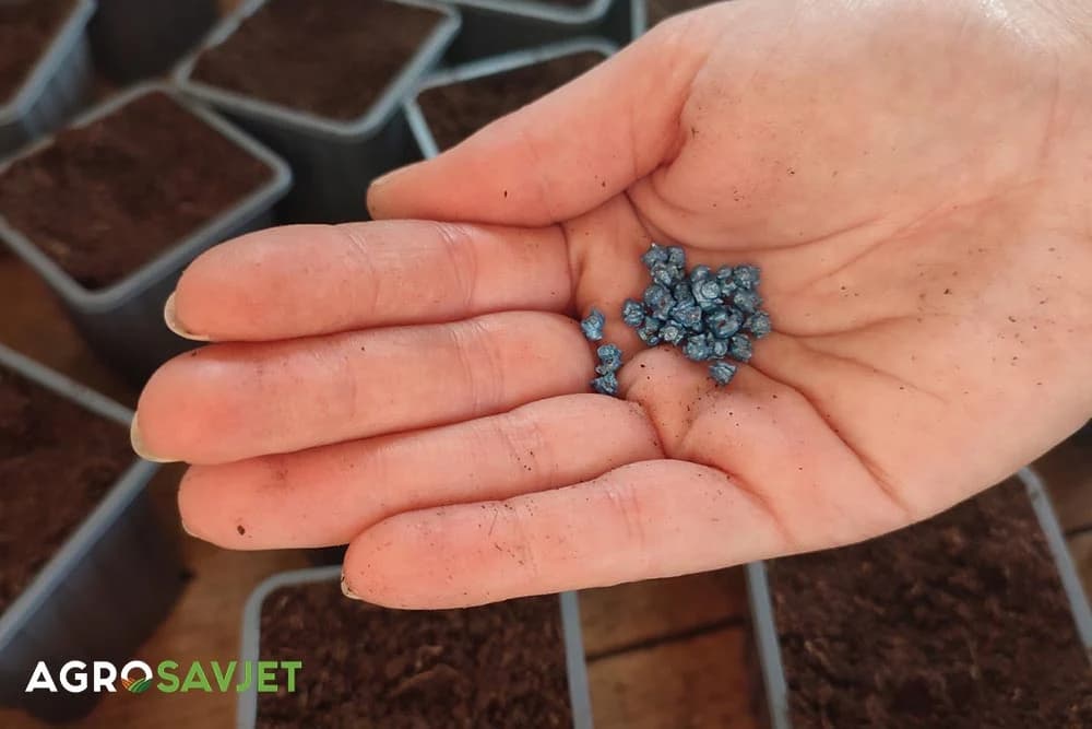 testiranje klijavosti sjemena