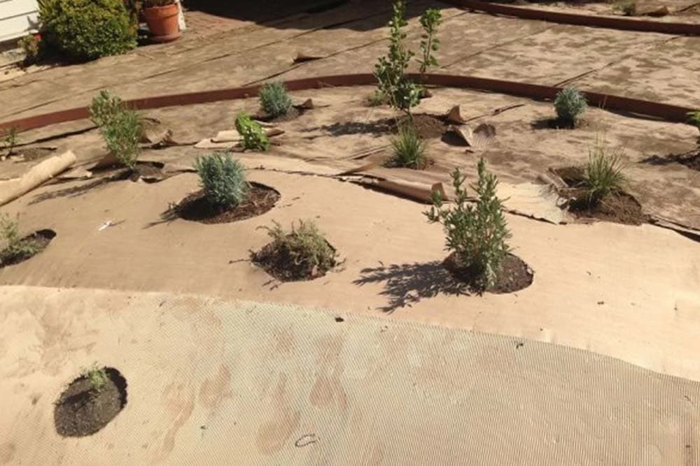 malčiranje sa kartonom i novinama