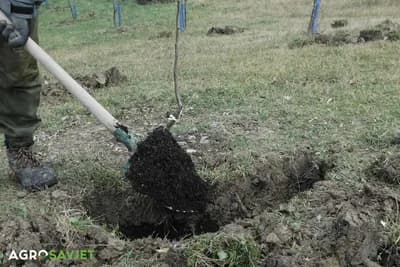 unošenje đubriva u jesen