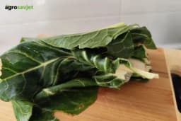 Sirova blitva ili možda kuvana - koja je zdravija?