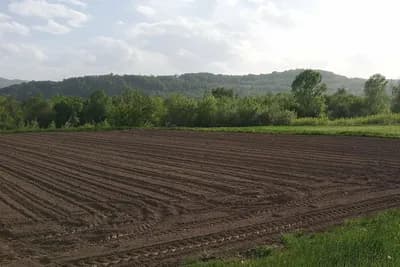 Šta je ugar i kako doprinosi očuvanju zdravlja zemljišta