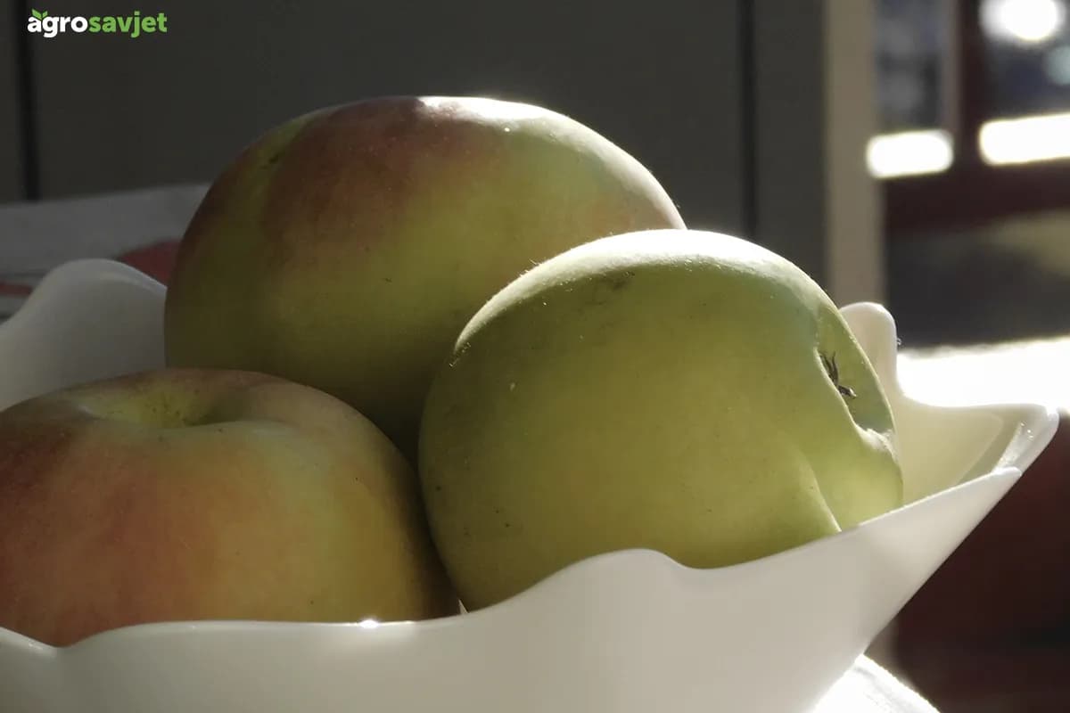 Velika je razlika ako jabuku jedemo povremeno ili svaki dan