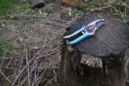 Radovi u voćnjaku u februaru: Presudni poslovi da ne ostanete bez ploda