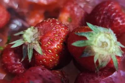 Kako iskoristiti listove jagoda u kuhinji? Nemojte ih bacati, korisni su