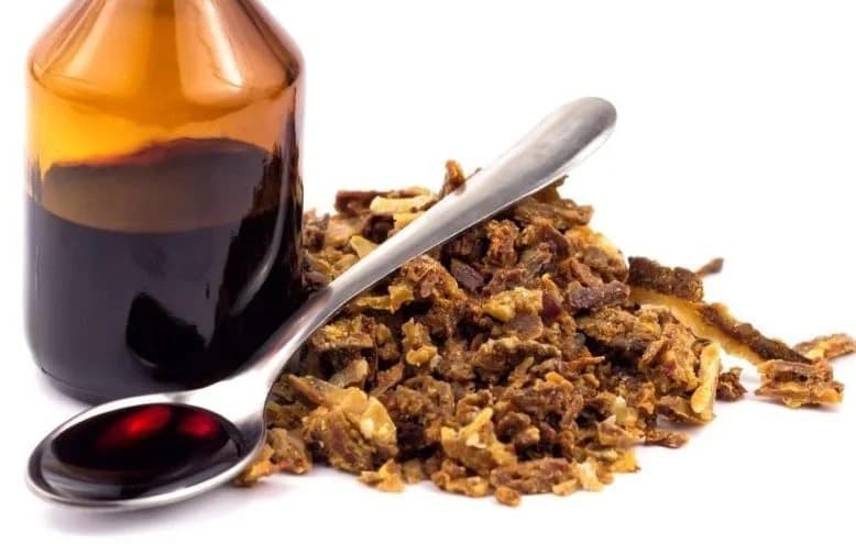 Propolis u rakiji - Lijek zlata vrijedan
