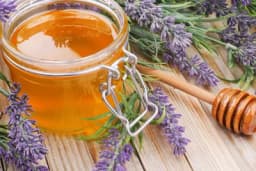 Lavandin med - Evo po čemu je poseban