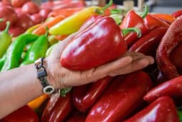 Tri sorte paprika od kojih možete praviti ukusan ajvar