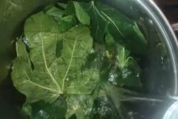 STARINSKI SIRUP OD LISTOVA SMOKVE - Moćan eliksir koji pomaže kod raznih tegoba