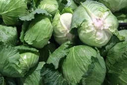 Dva provjerena recepta za savršen kiseli kupus