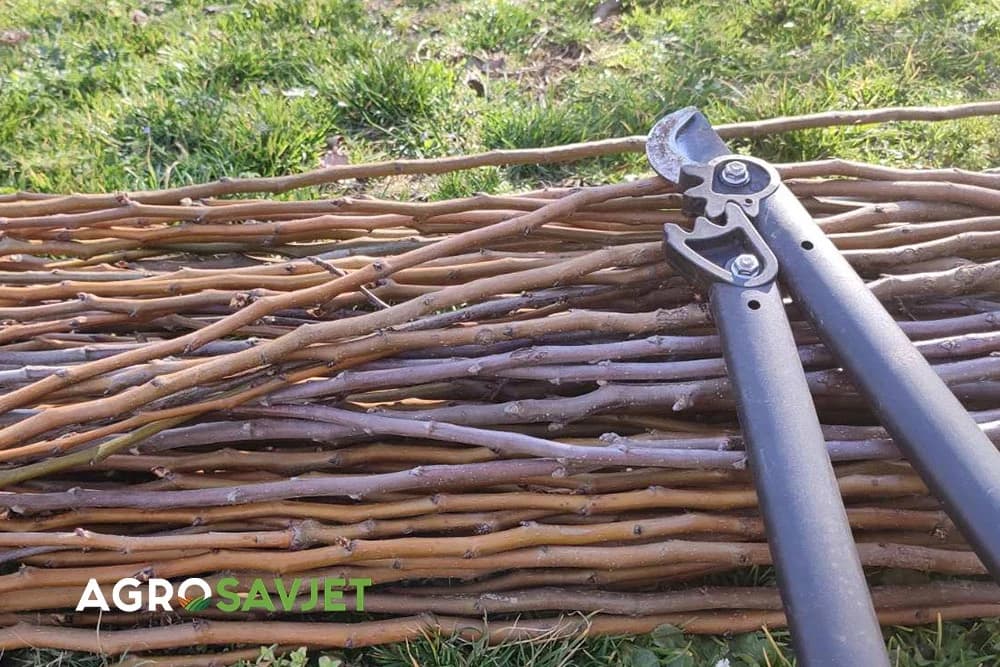 grane koje su orezane u voćnjaku