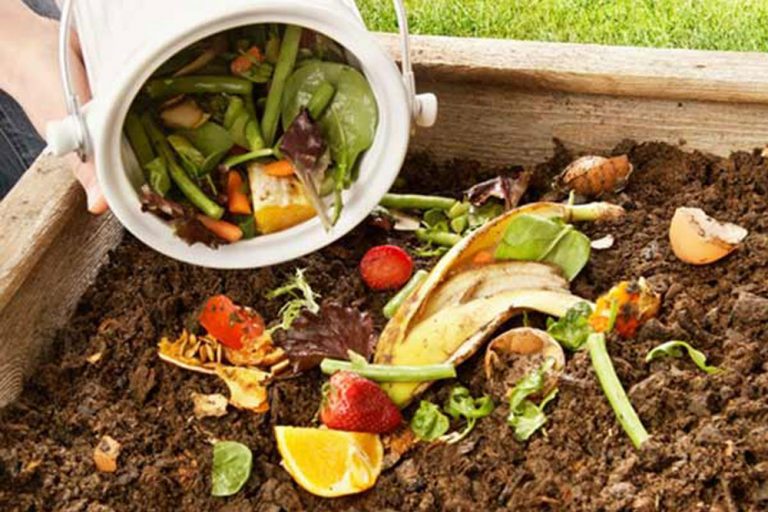 Šta je kompost i kako ga napraviti?