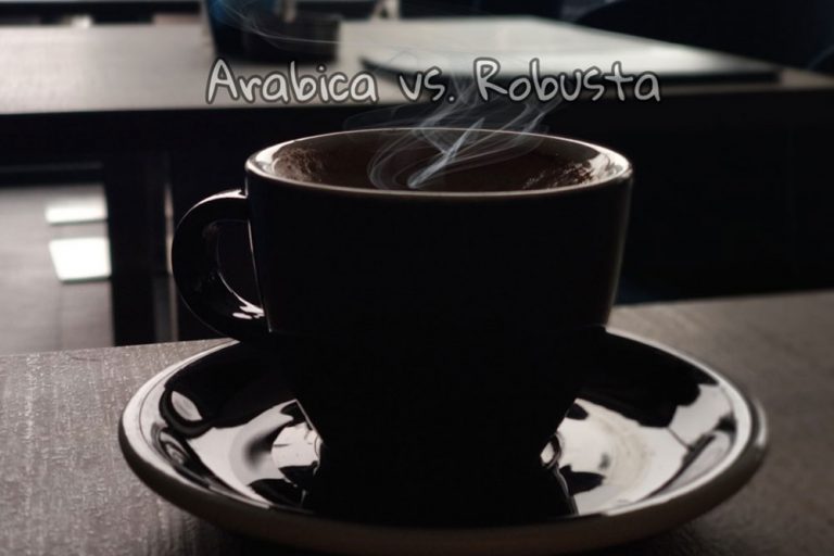 Kafa – Arabica ili Robusta ?