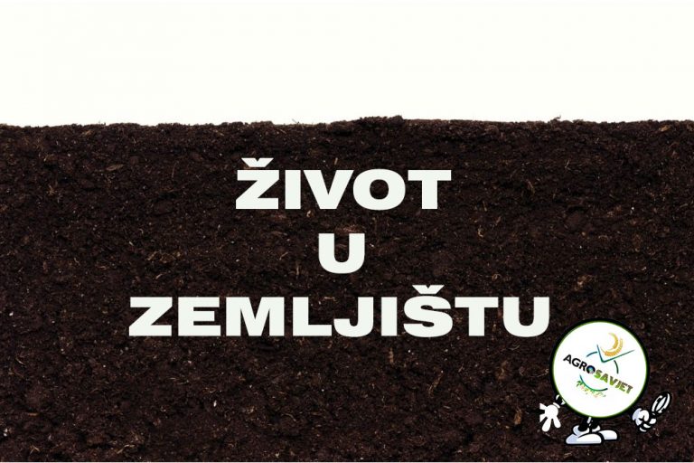 Umorno zemljište? Savjeti kako da ga odmorimo