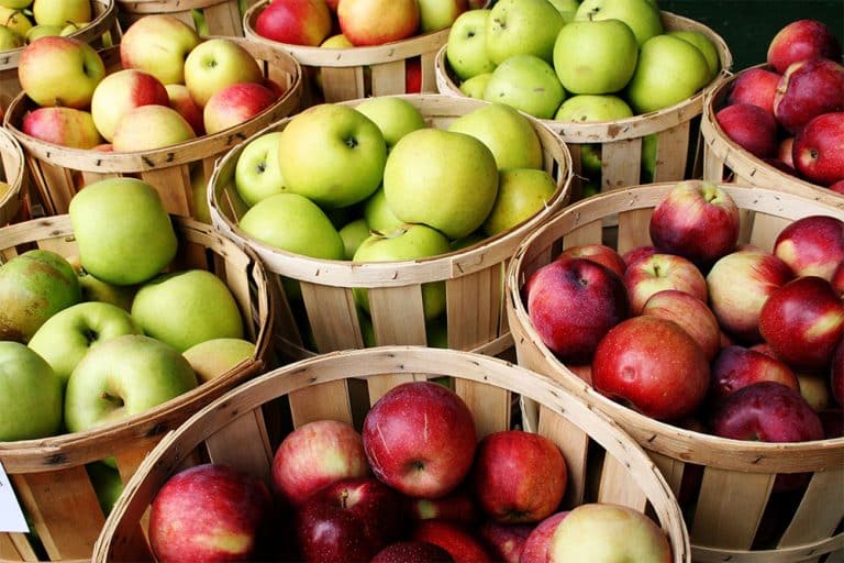 Prinos jabuke veći i za čak 70 tona uz MapMyApple aplikaciju