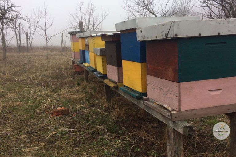 Francuska uvodi zabranu pet pesticida koji škode pčelama