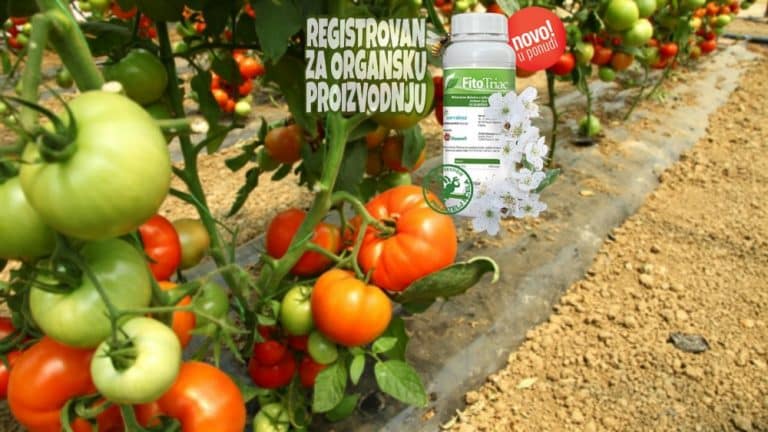Suzbijte biljne vaši potpuno organskim preparatom – FitoTriac