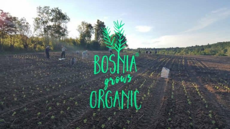 Preduzeće „Bosna raste organski“ u Evropu izvezlo četiri tone ljekovitog bilja