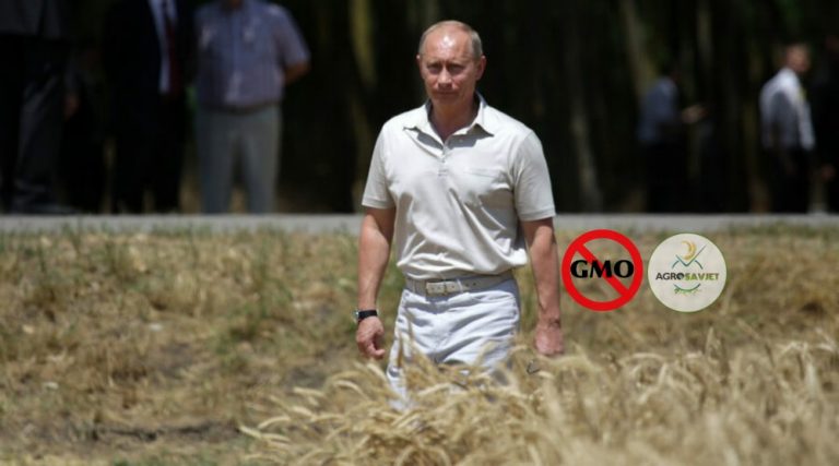 Putin – GMO čini muškarce neplodnima