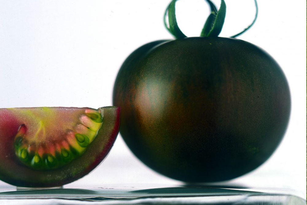 Crni paradajz KUMATO - Nova strast za baštovane | Agrosavjet