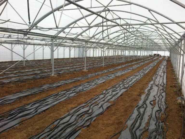 Uložio 220.000 KM u sistem za grijanje plastenika ali ispaltilo mu se
