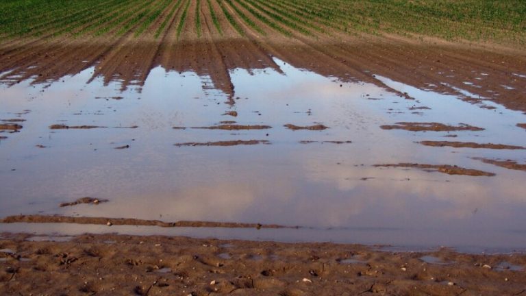 Vještačke brane krive za poplave u Semberiji – mještani Popova najavljuju proteste
