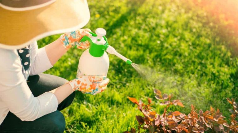 Organski pesticidi koje možete sami da napravite – Donosimo vam odlične i jednostavne recepte za izradu