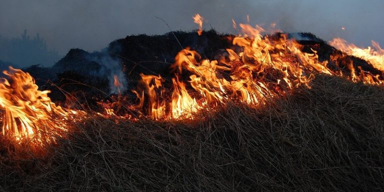 Apel poljoprivrednicima da ne pale vatru na otvorenom prostoru