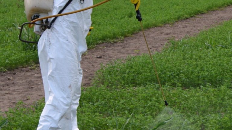 Pokrenuta inicijativa za potpuno ukidanje sintetičkih pesticida do 2035.