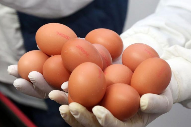 Grad u BiH proizvodi najviše jaja u Evropi po glavi stanovnika