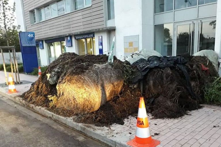 Francuski ratari istresli tone izmeta ispred sjedišta Makronove stranke