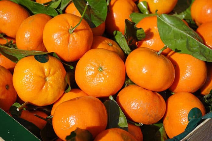 Mandarina