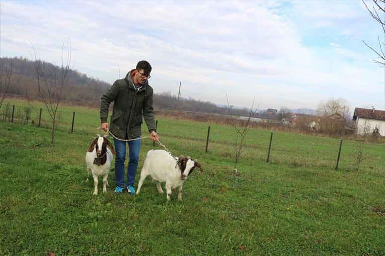 POREDAO PRIORITETE Dejan nema vremena NI ZA KAFU U KAFIĆU, ali ne razmišlja o odlasku (FOTO)