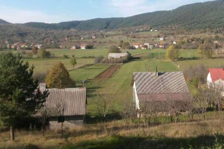 Srbi u Hrvatskoj: Umjesto posla u Nemačkoj, konkurišu za projekte u poljoprivredi