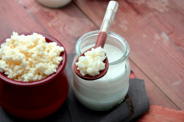 Kefir – najstariji poznati probiotik