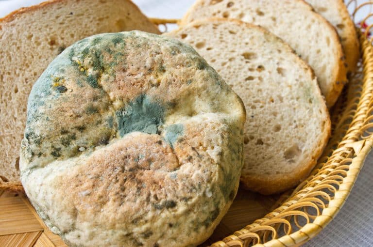 Nije sva buđ na hrani ista: Evo koje namirnice možete spasti, a koje nipošto ne smijete jesti!